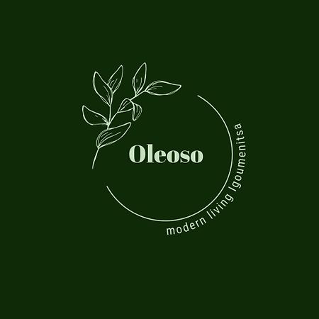 Oleoso Apartment Igoumenitsa Ngoại thất bức ảnh
