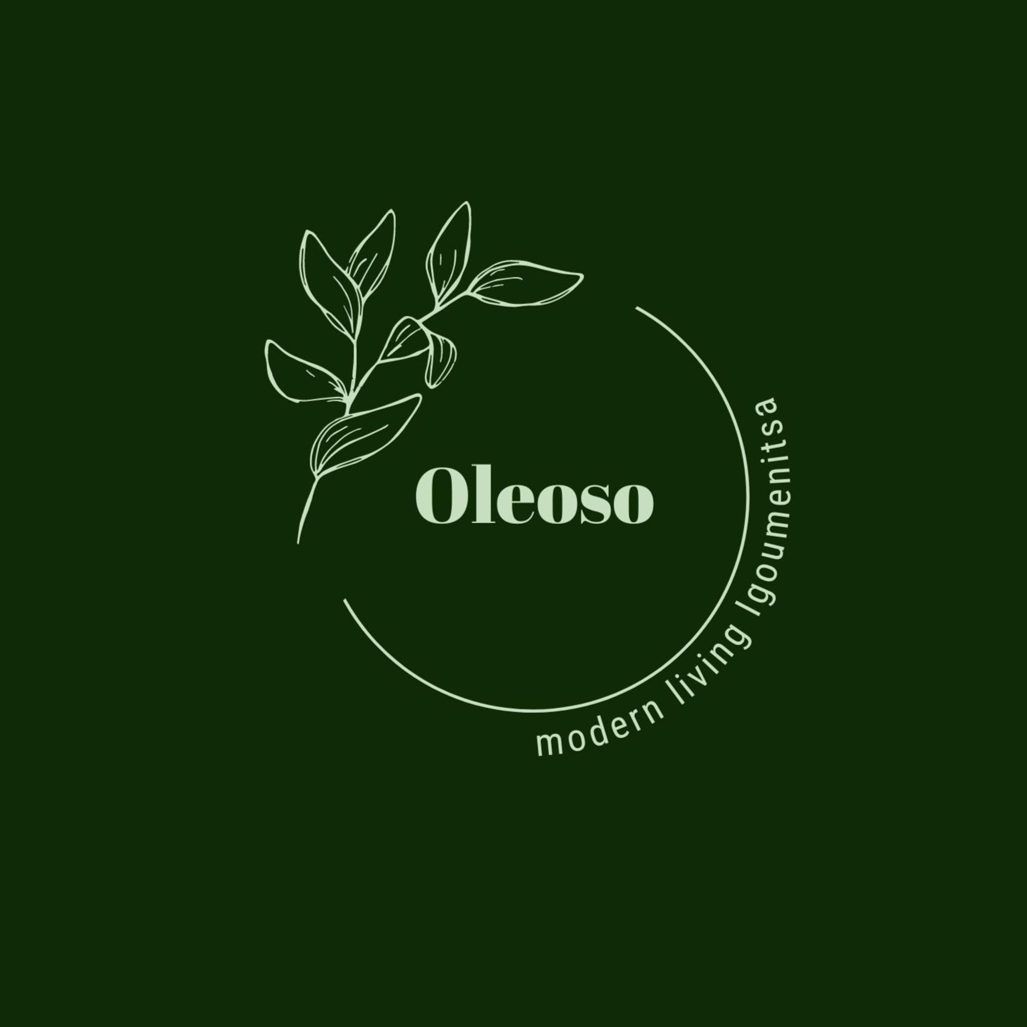 Oleoso Apartment Igoumenitsa Ngoại thất bức ảnh