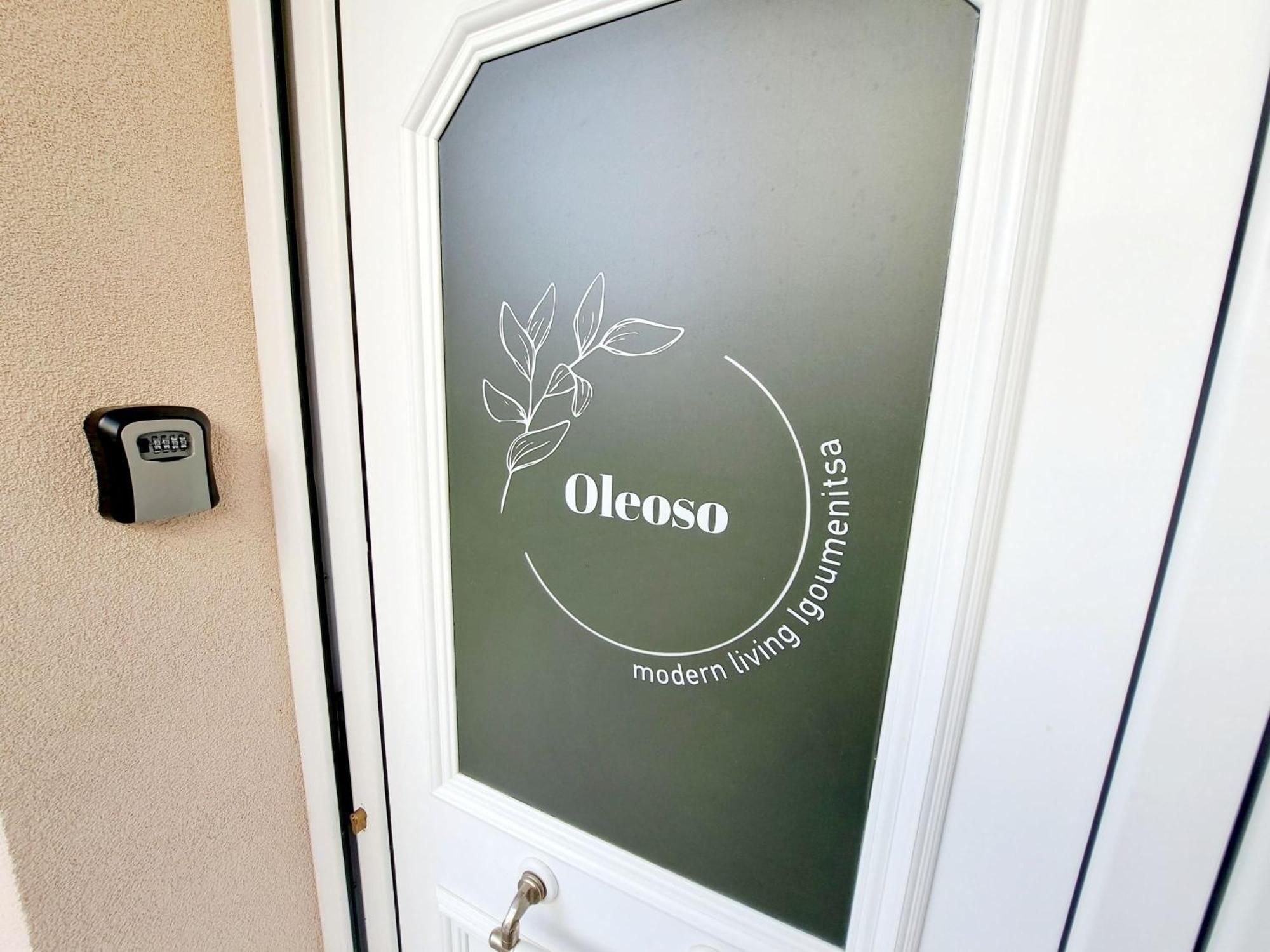 Oleoso Apartment Igoumenitsa Ngoại thất bức ảnh